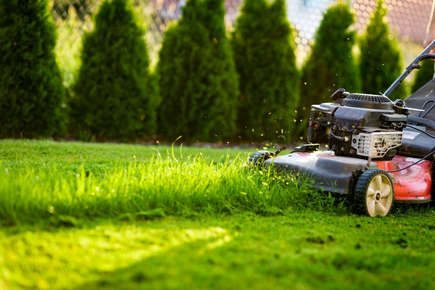 Grasscutters and Mowers Training Course